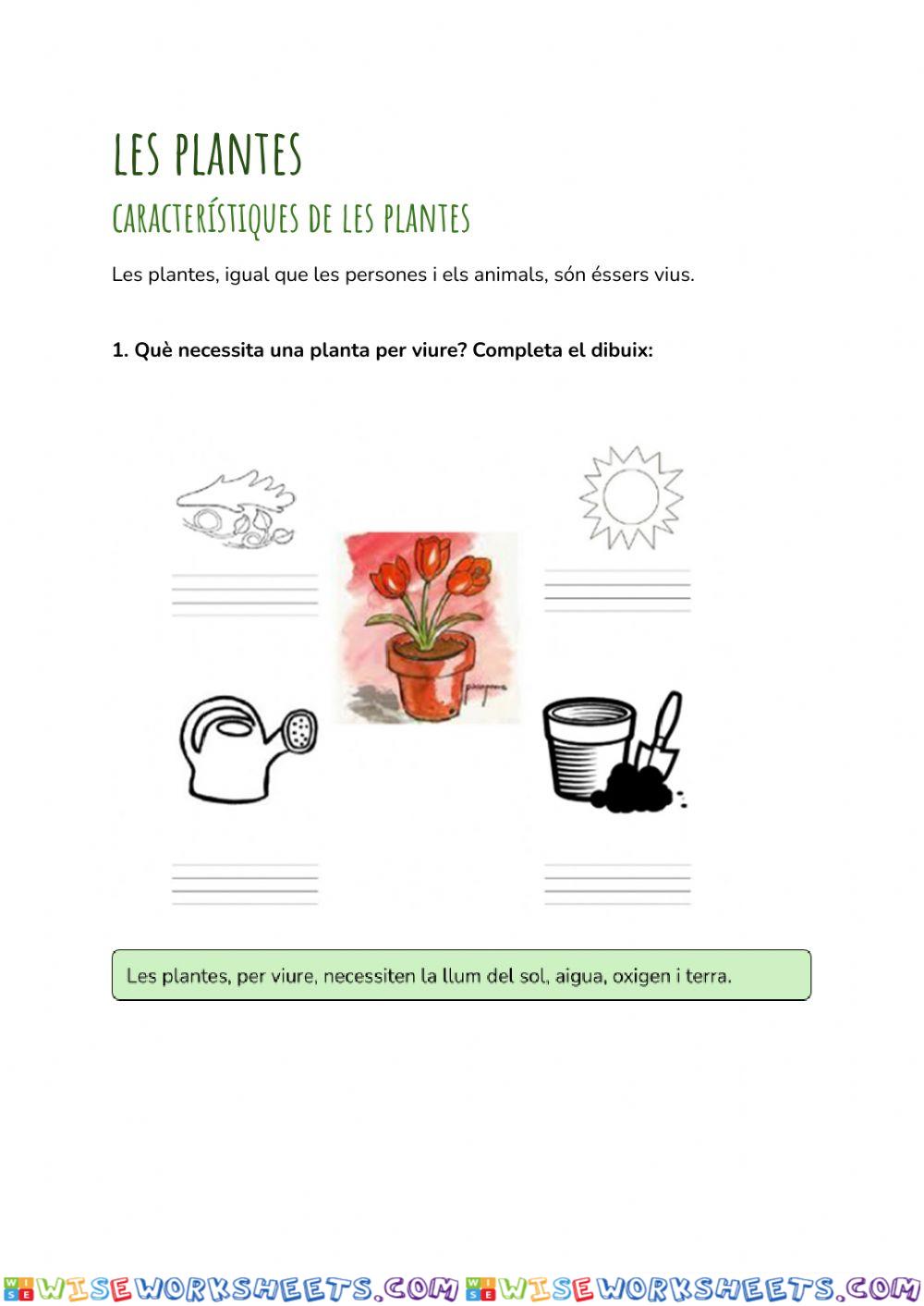 Les plantes