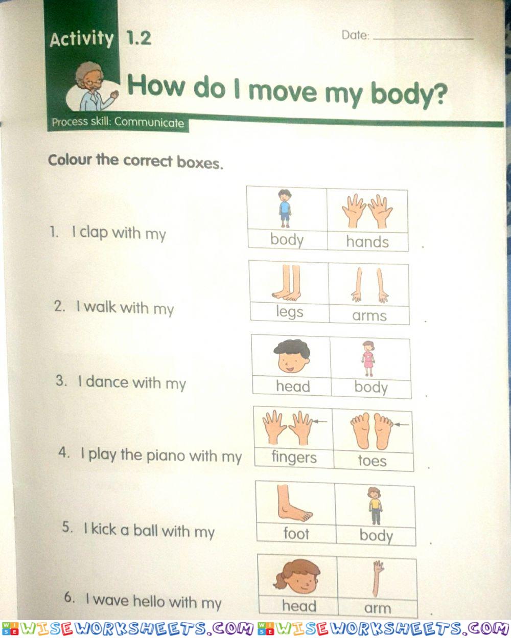 Body parts