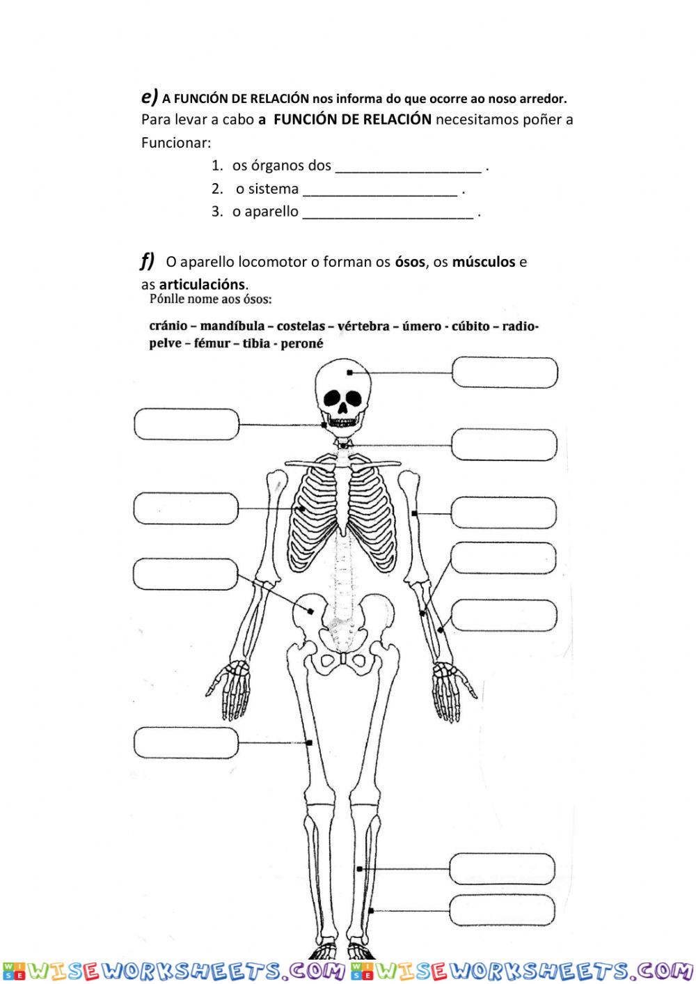 worksheet