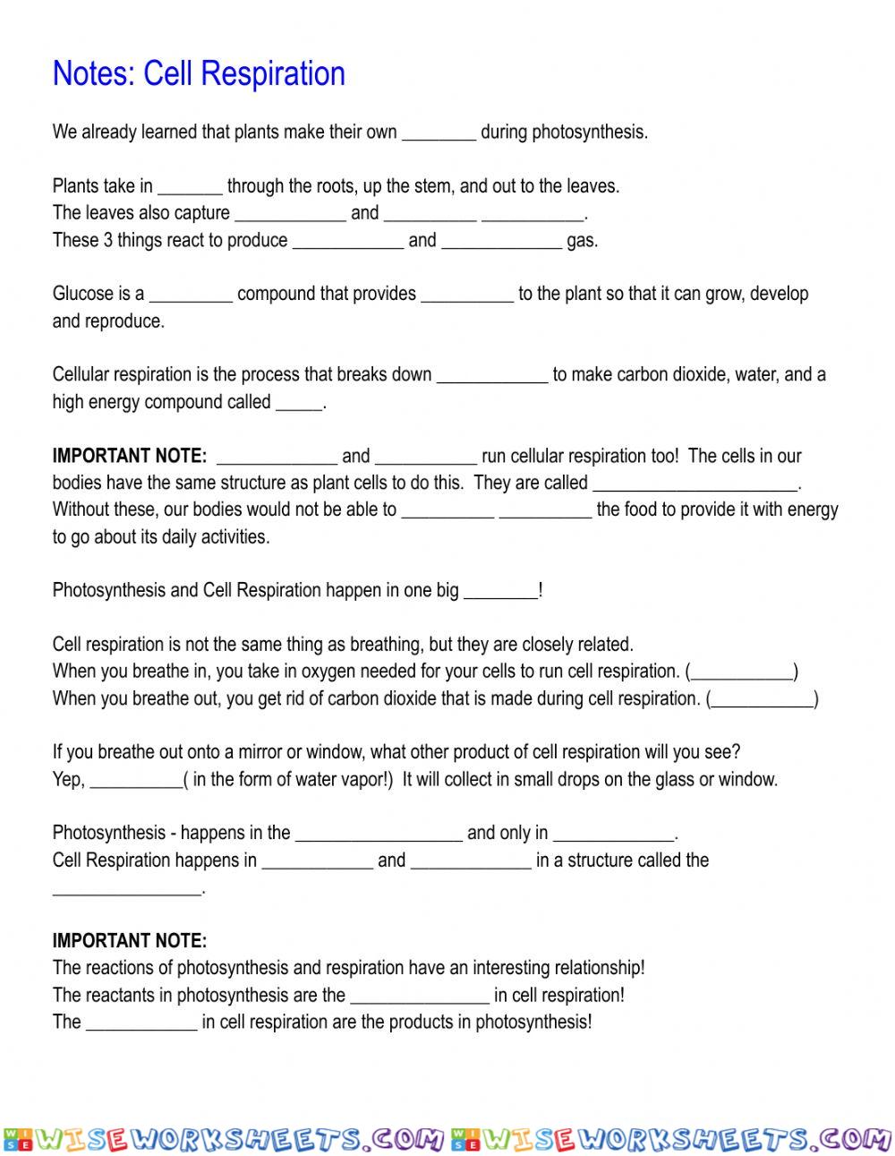 Notes: Cellular Respiration