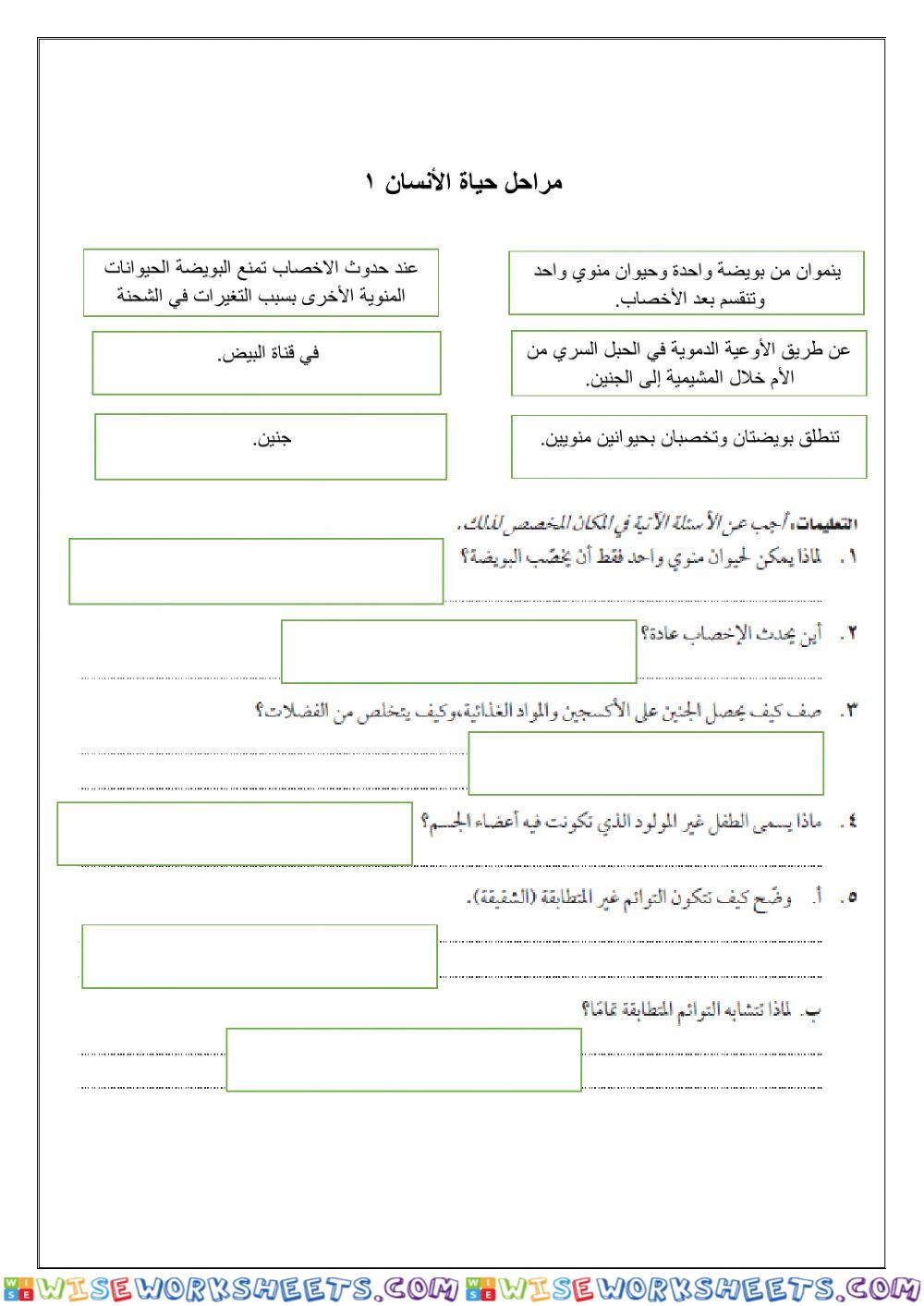 1مراحل حياة الأنسان