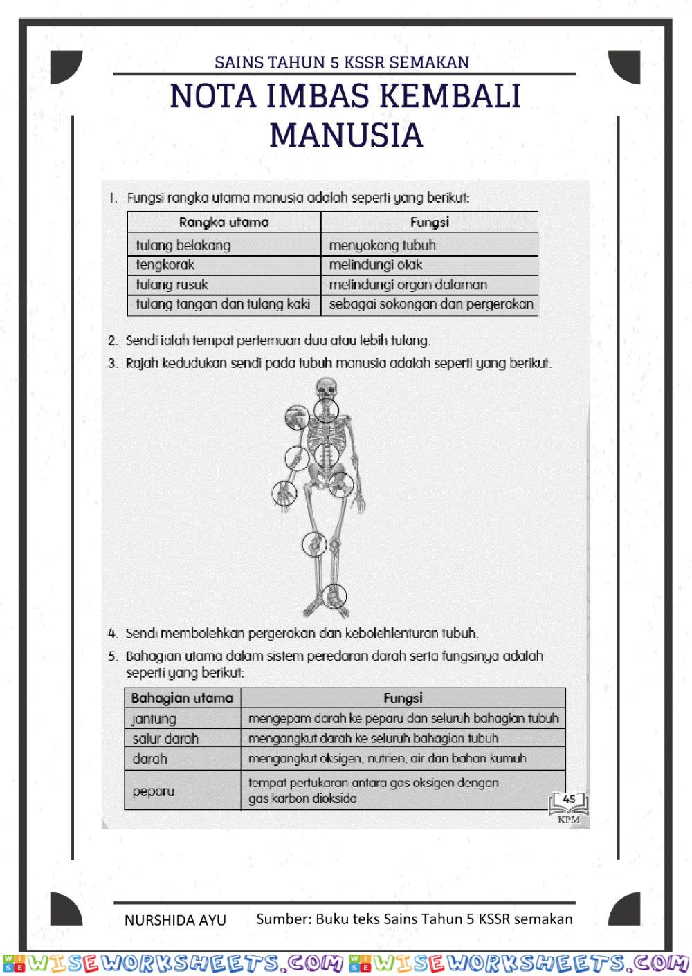 worksheet