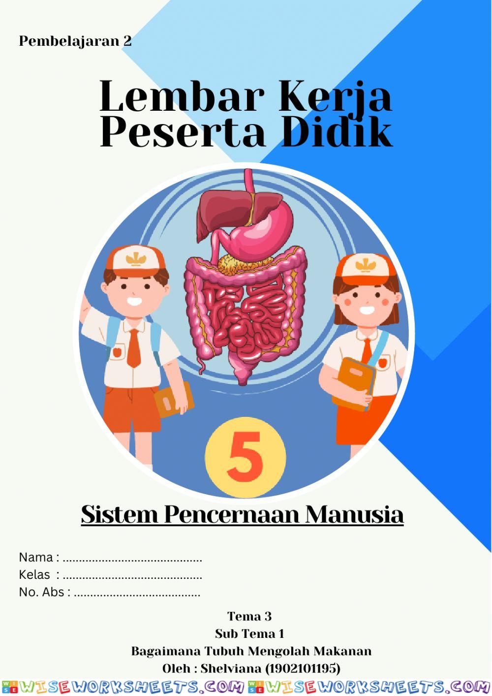 Sistem Pencernaan Manusia