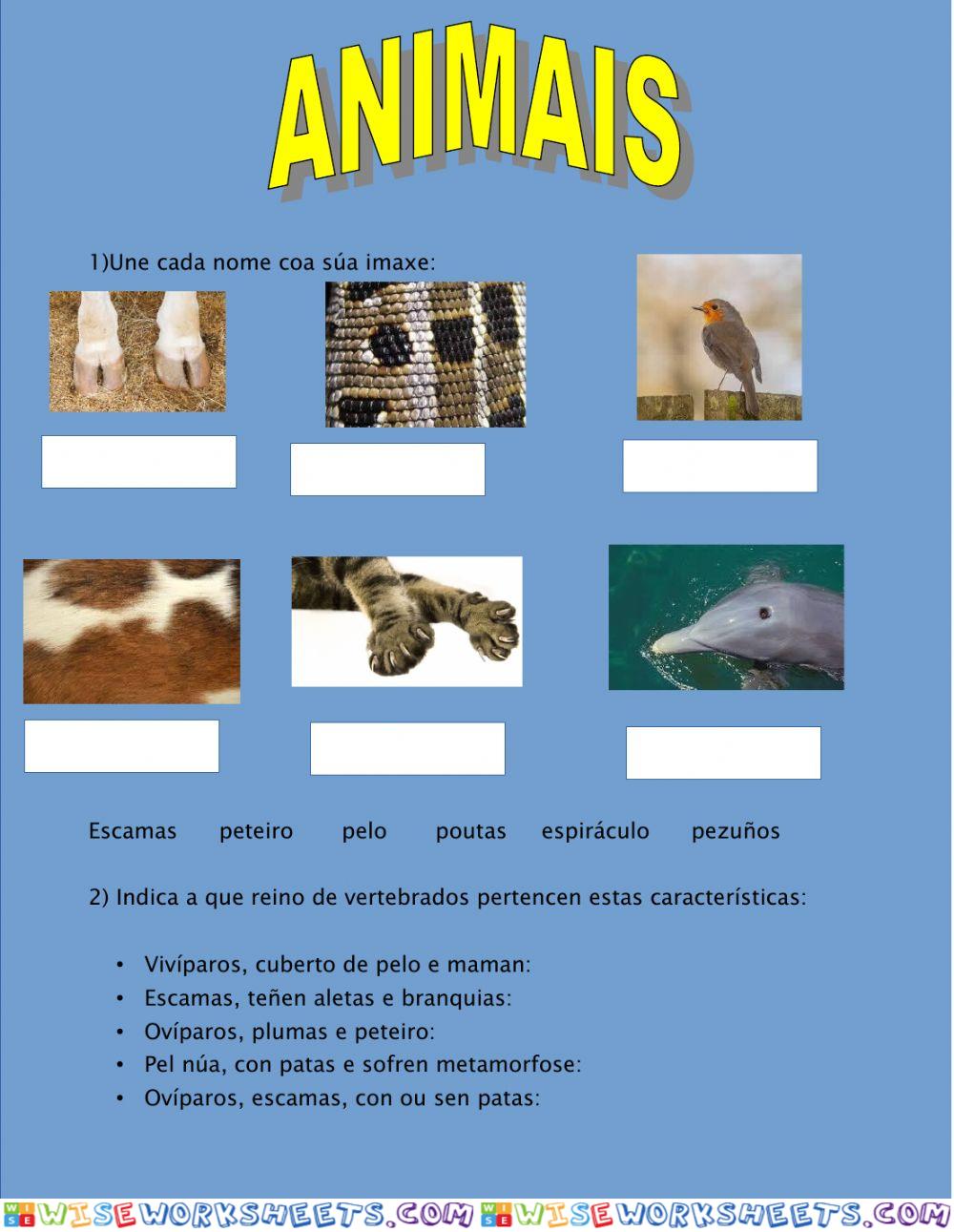 Animais vertebrados