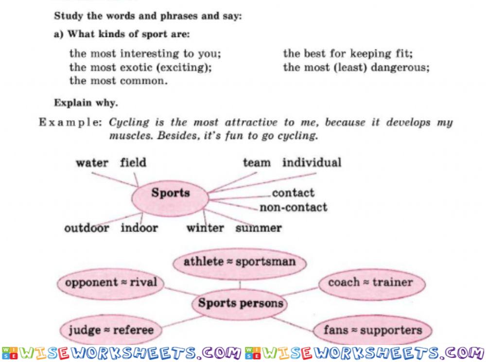 Studying sport phrases