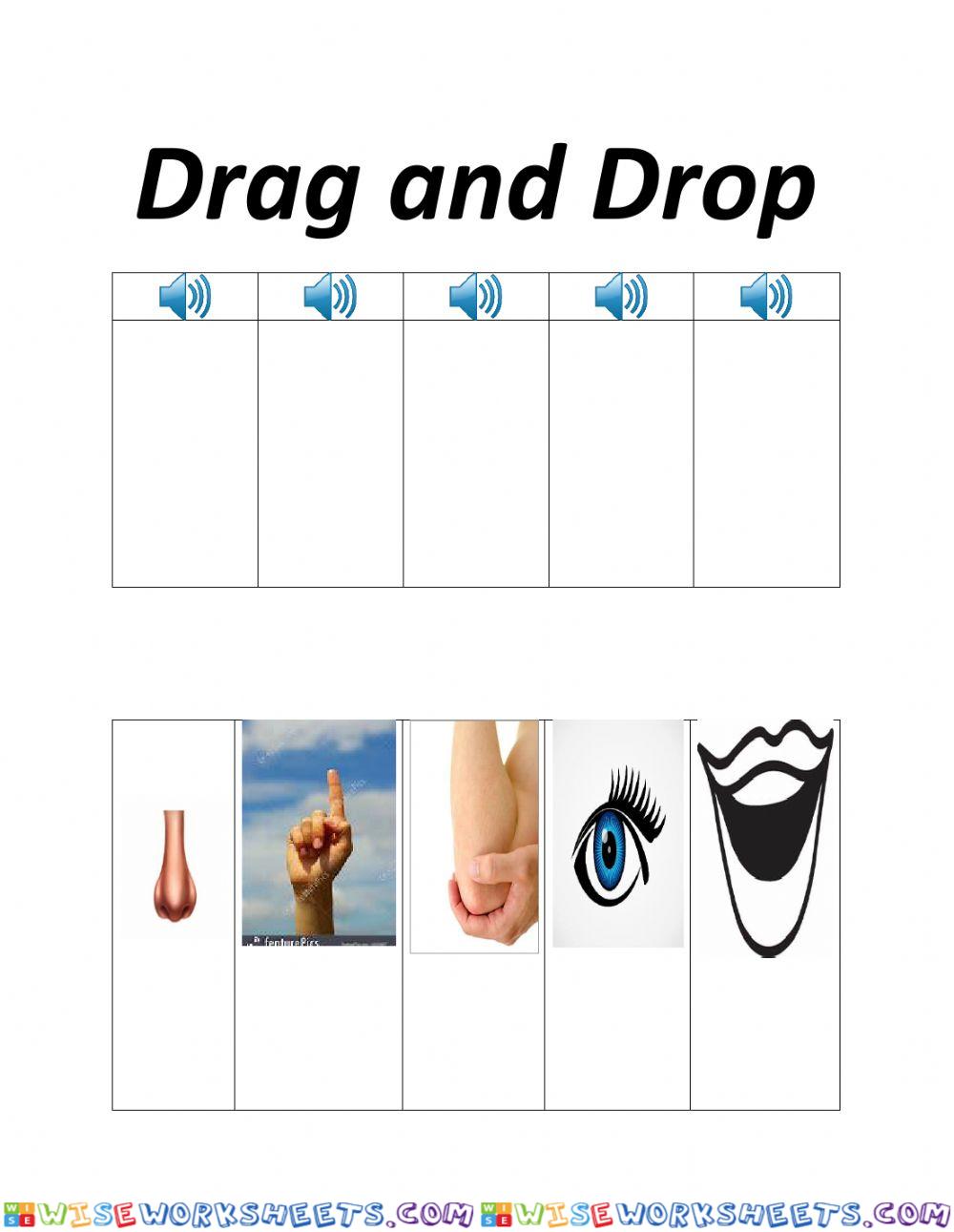 Body Parts