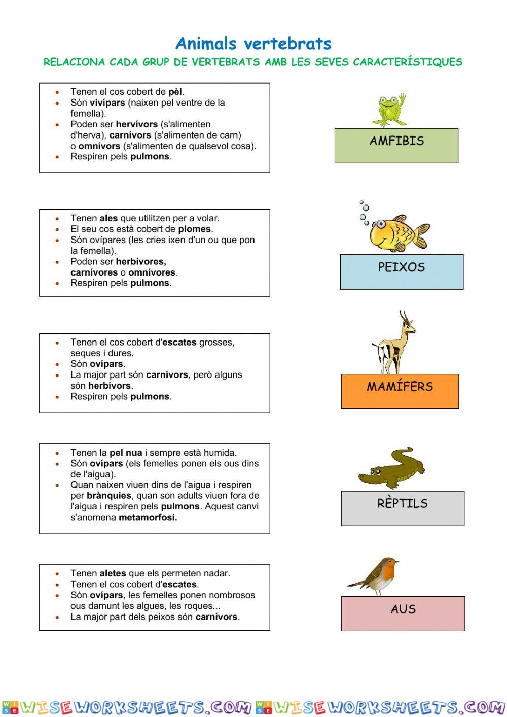 Animals vertebrats