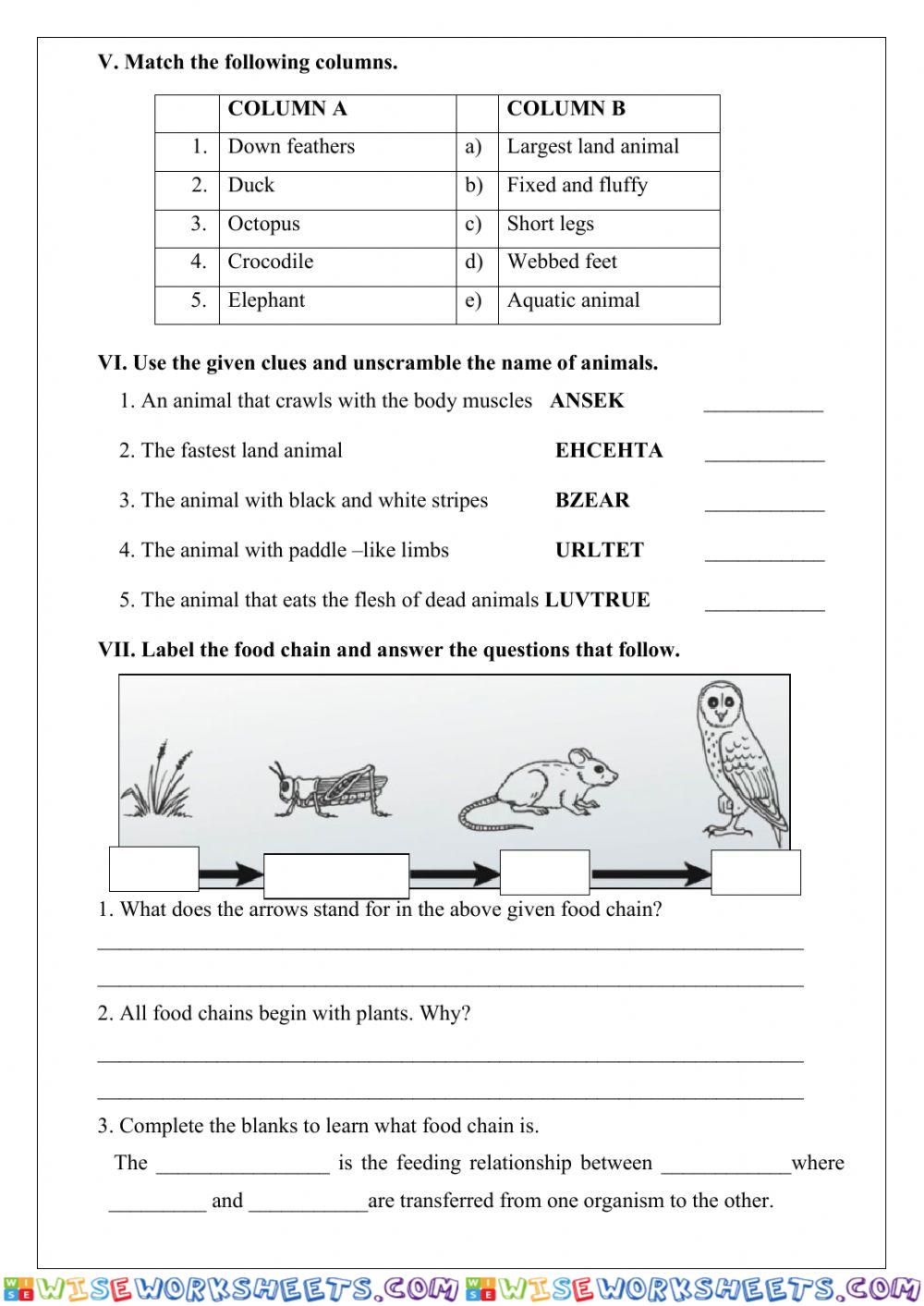 worksheet