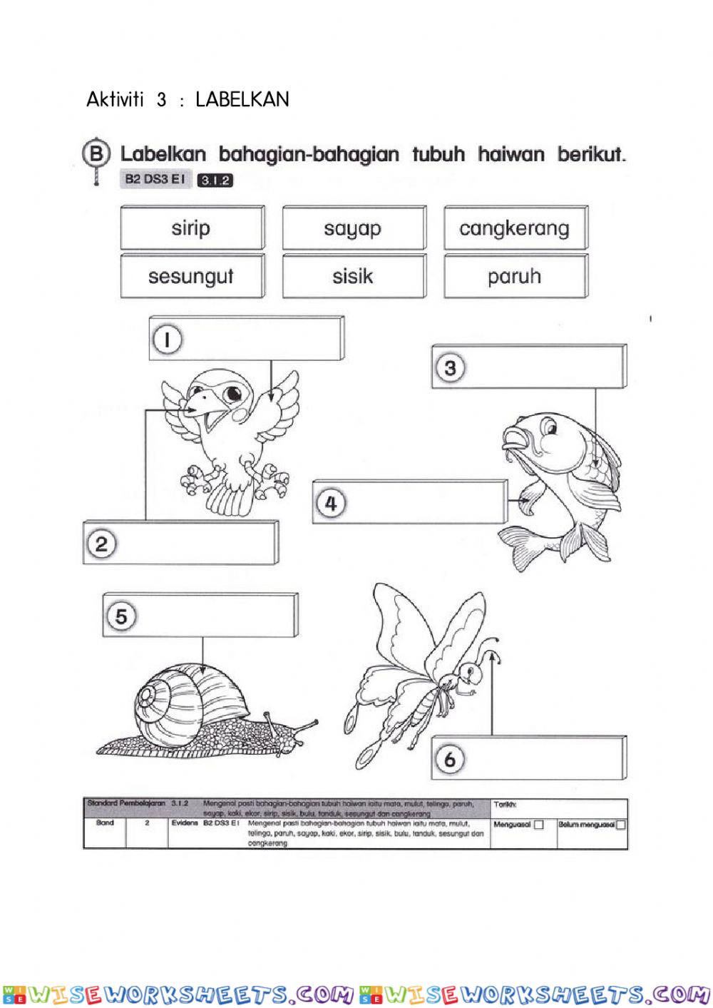 worksheet