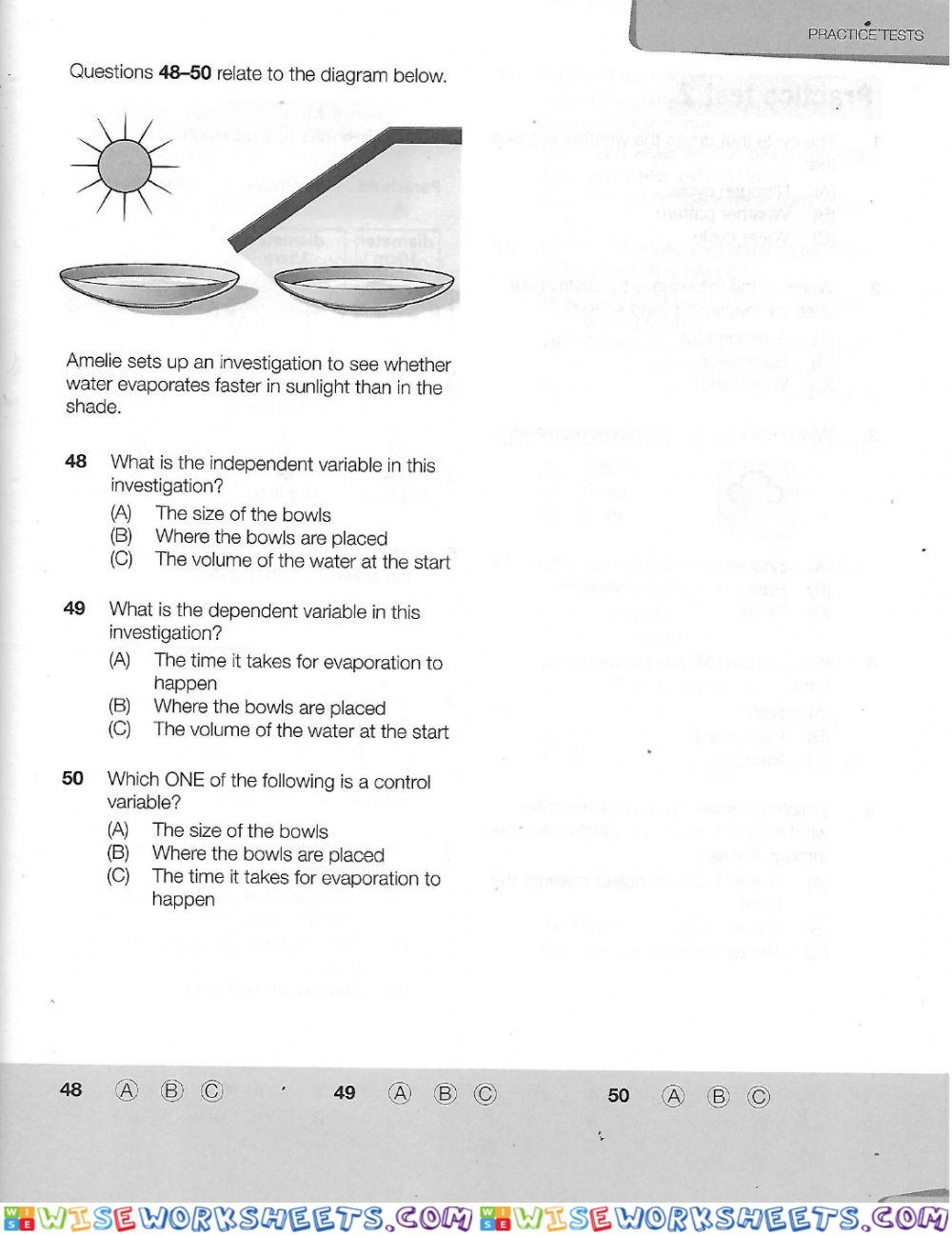 worksheet