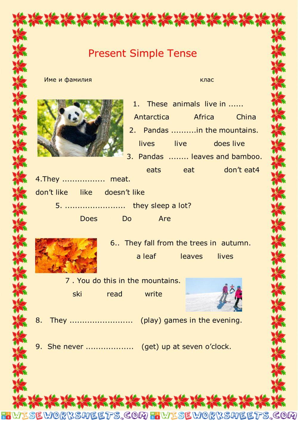 Present Simple Tense