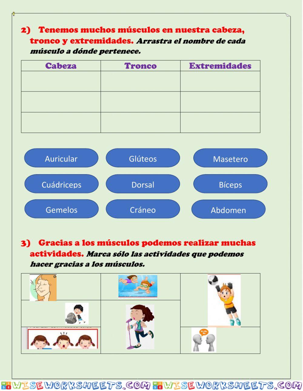 worksheet