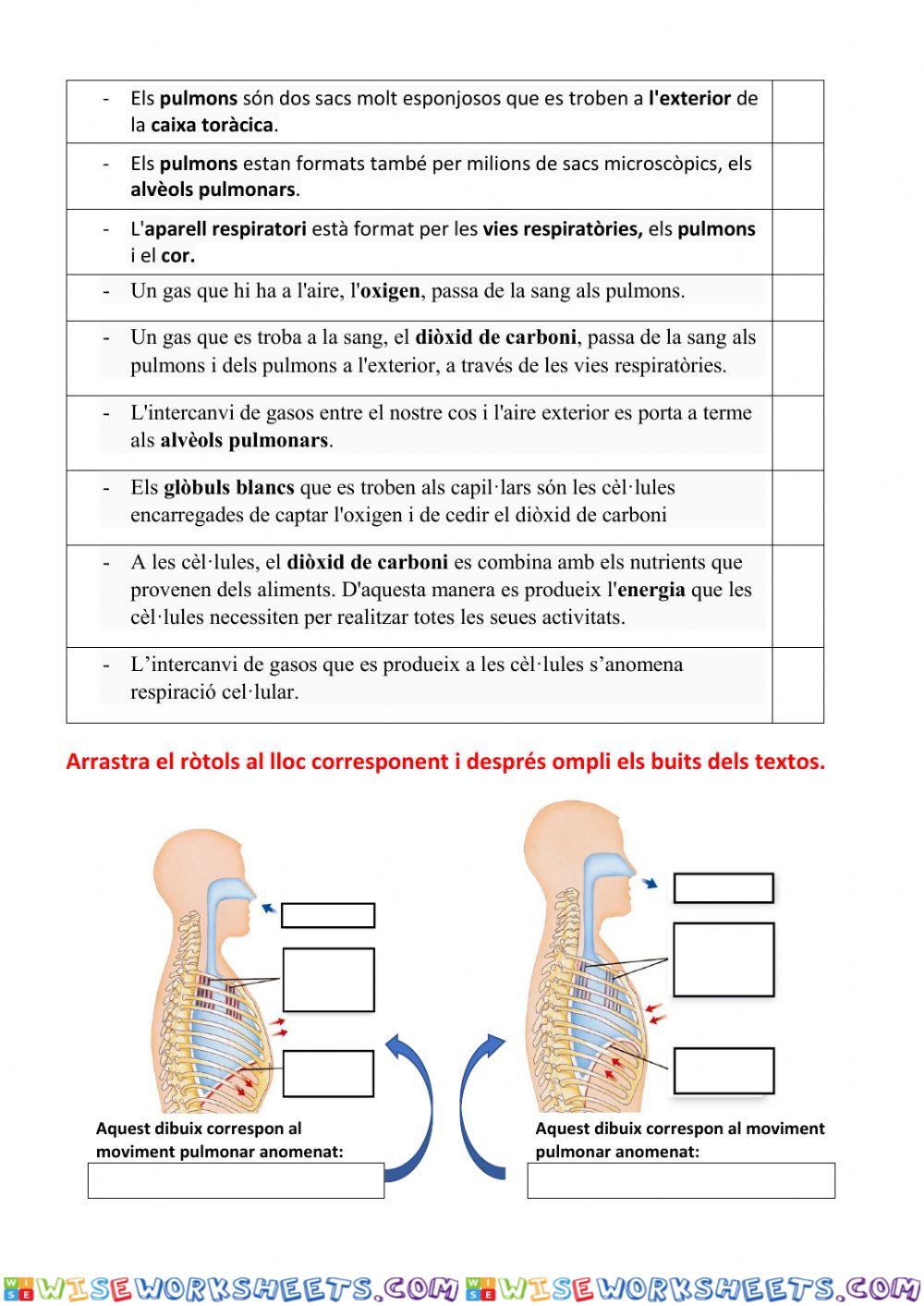 worksheet