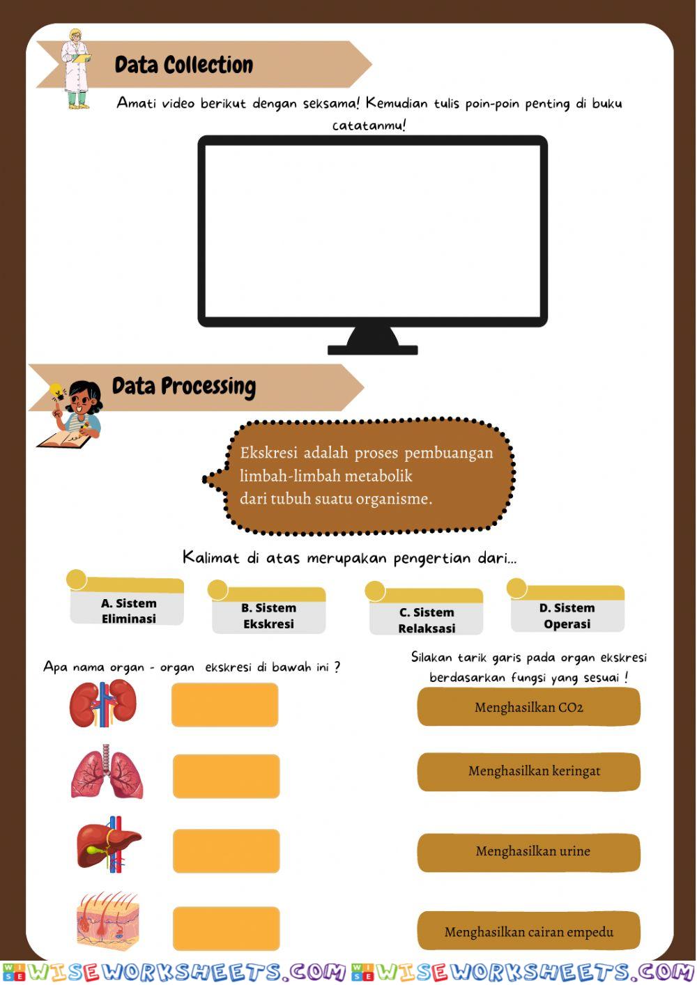 worksheet