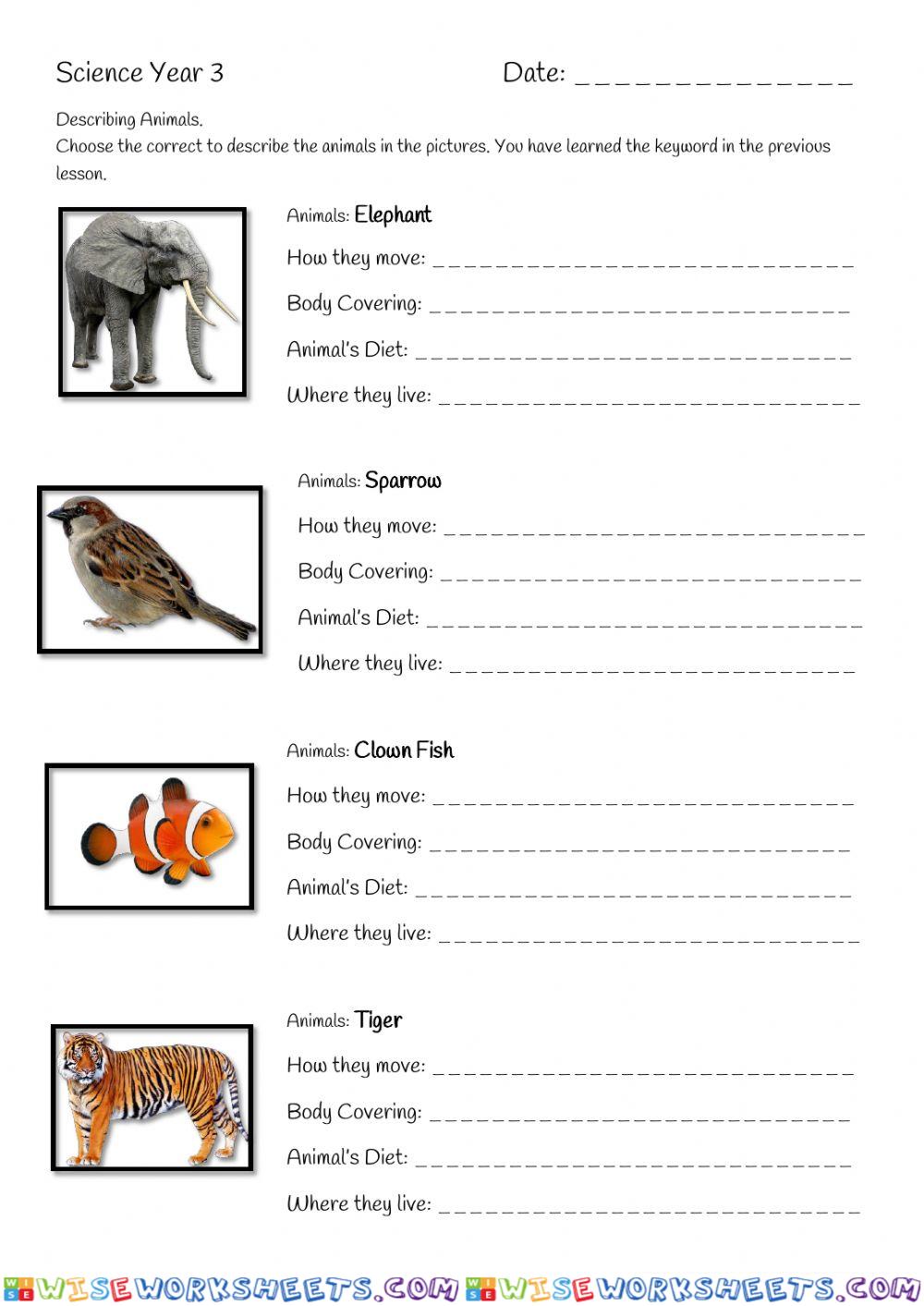 Describing Animals