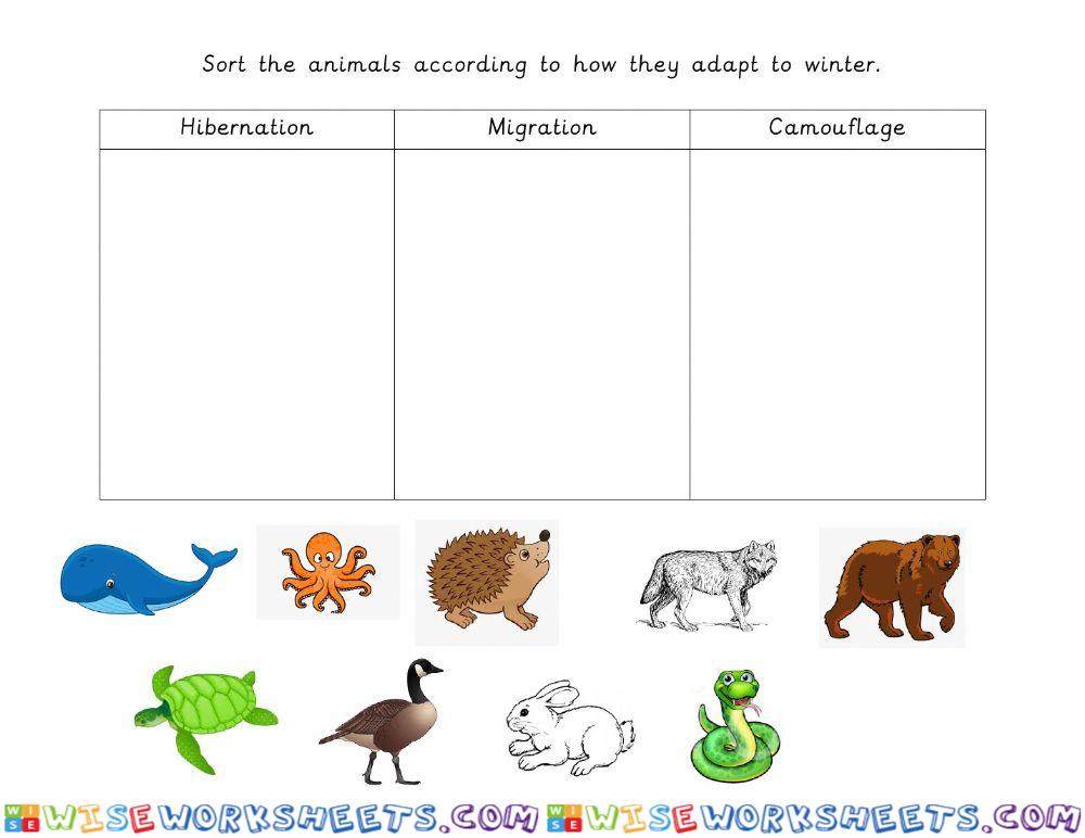Sort the animals according to how they adapt to winter.