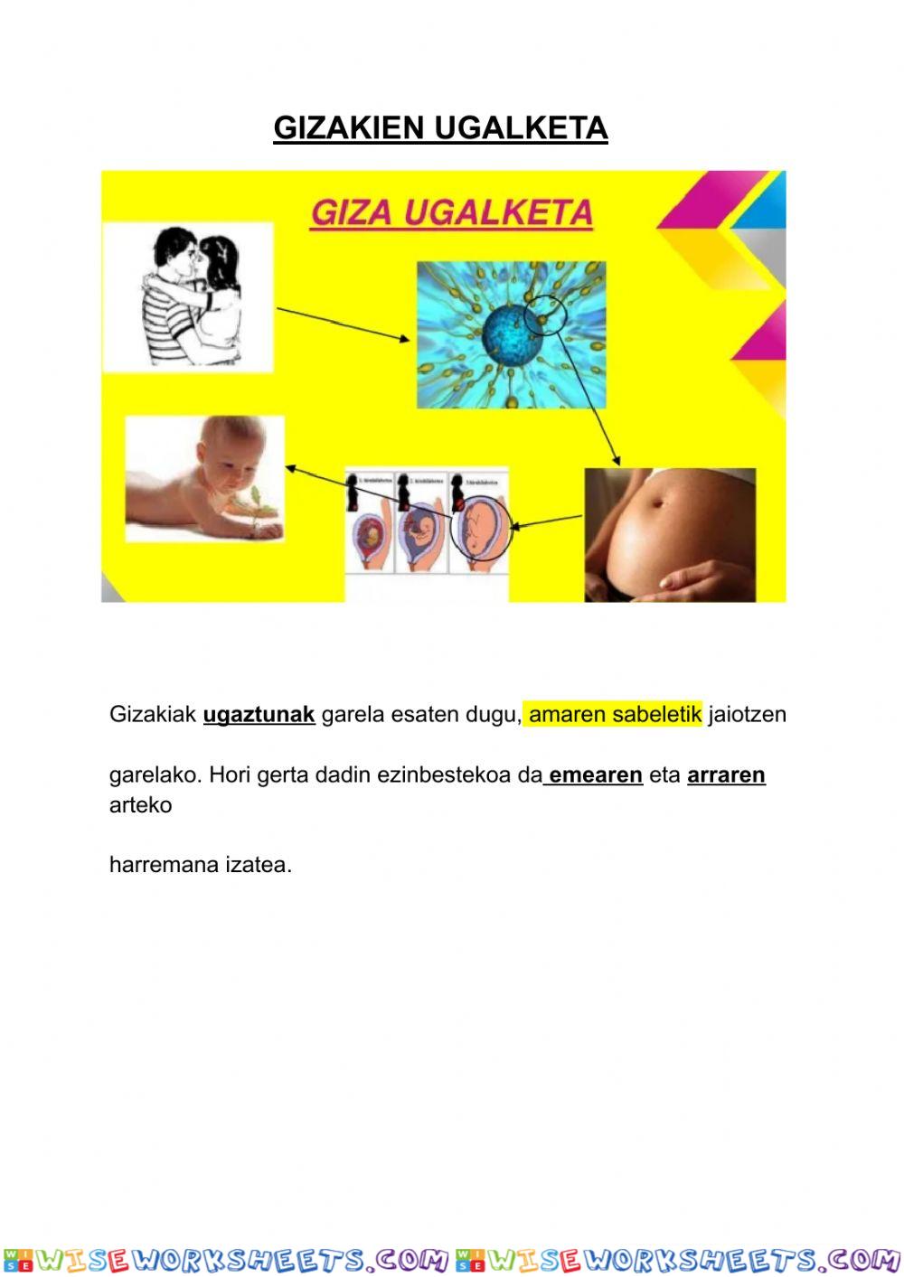 worksheet