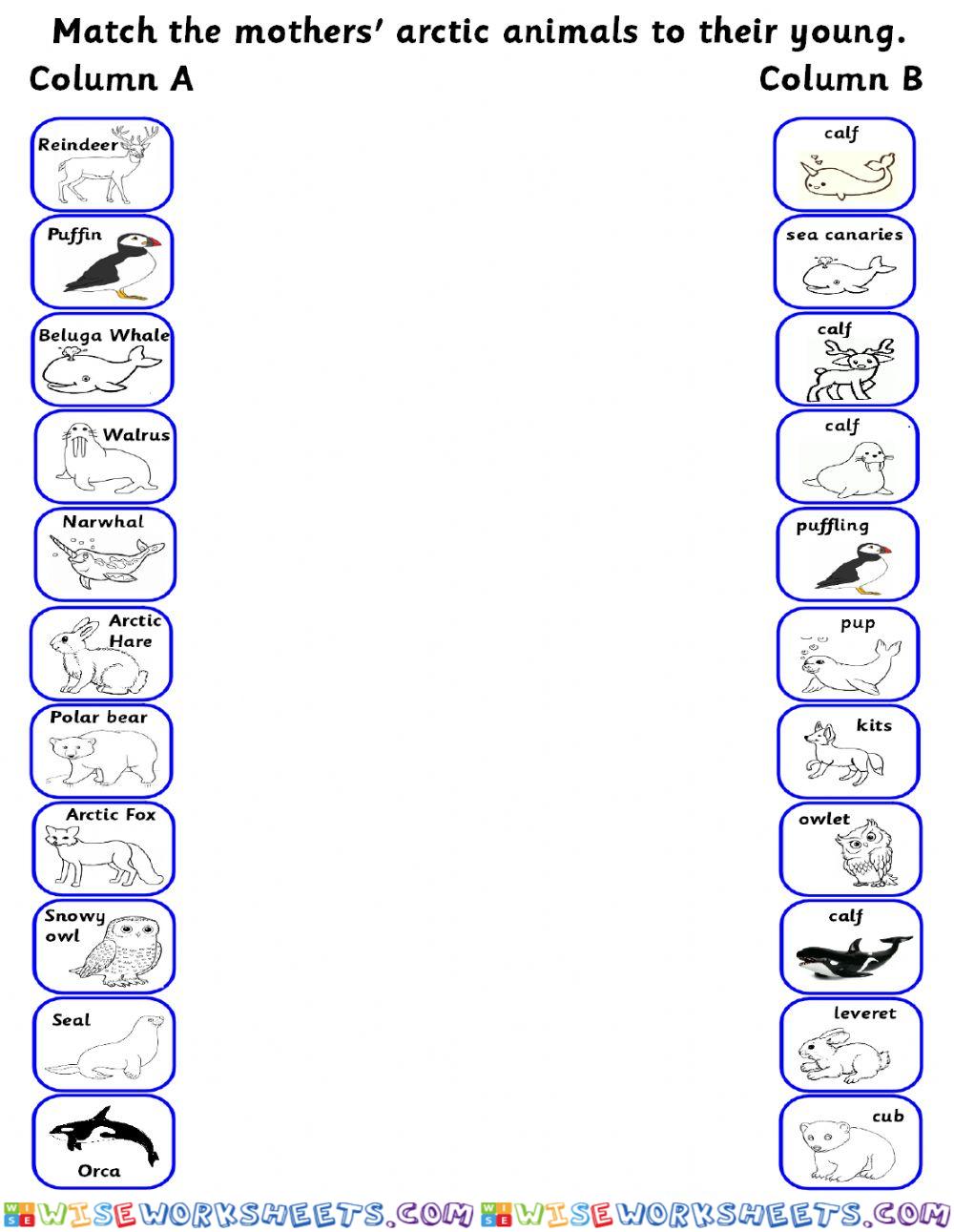 Arctic animals and their young