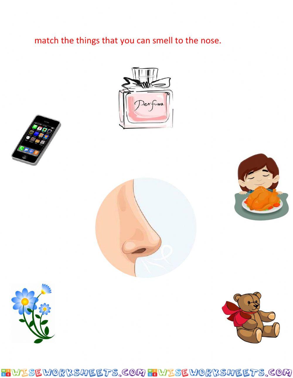 Five senses
