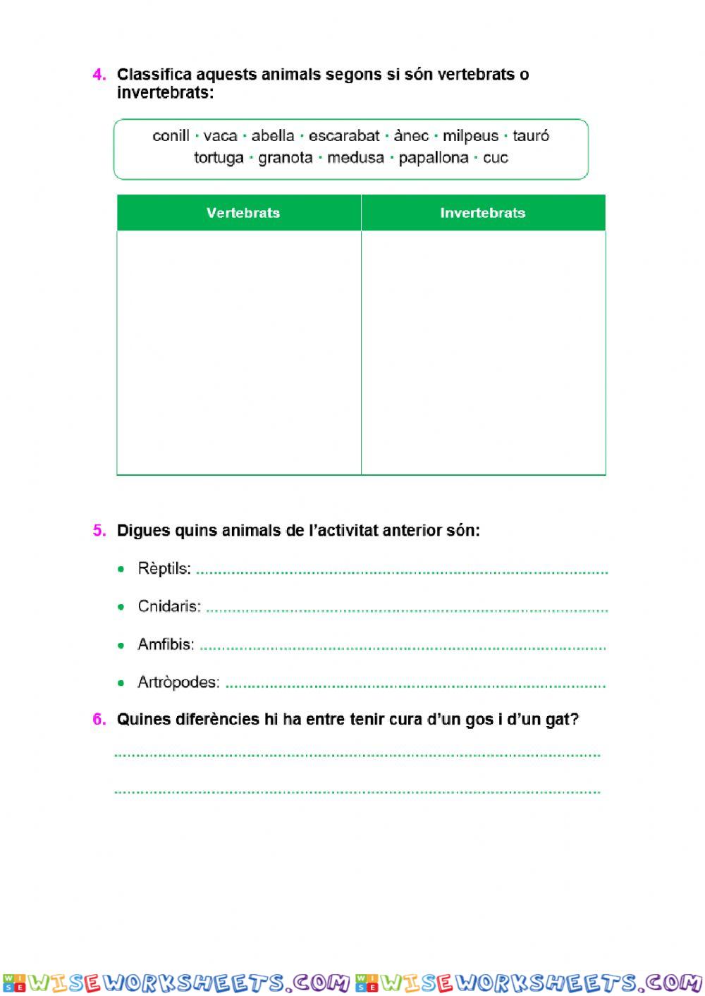 worksheet