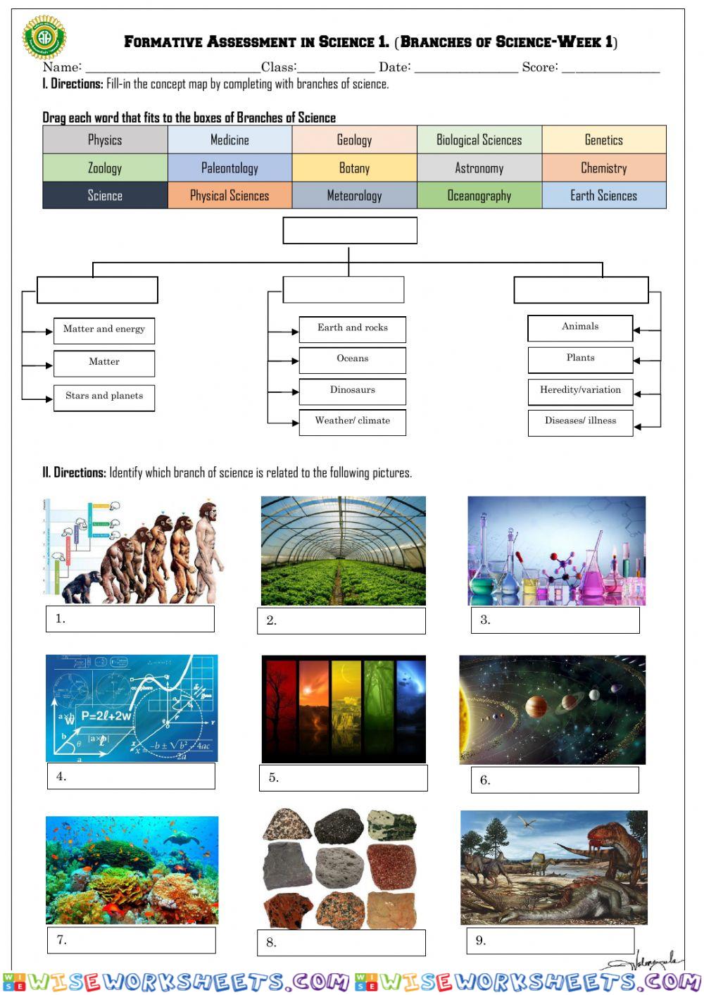 worksheet