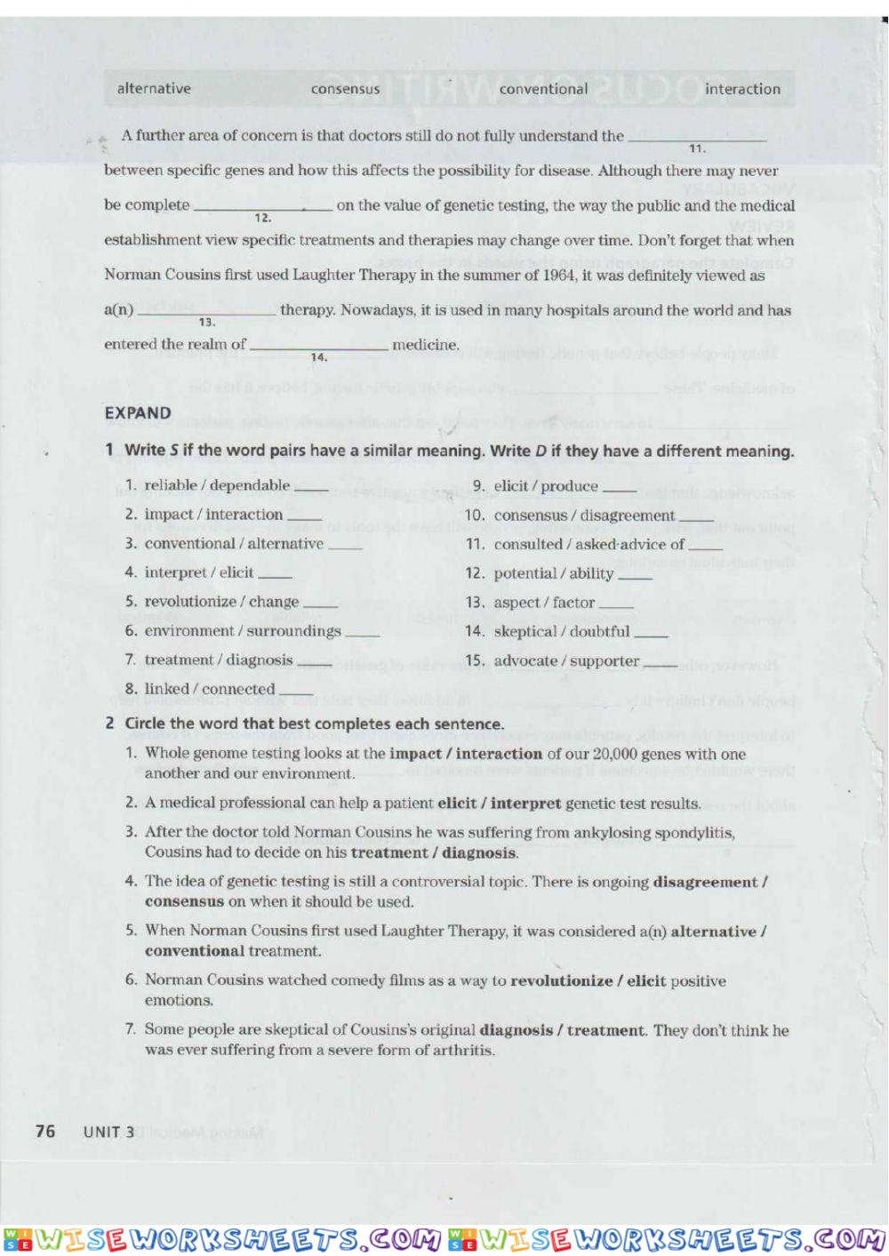 worksheet