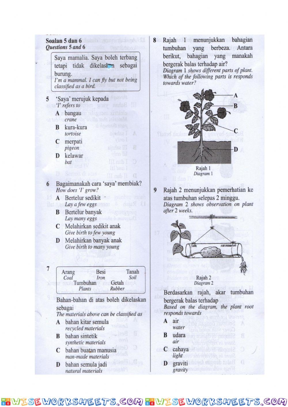 worksheet