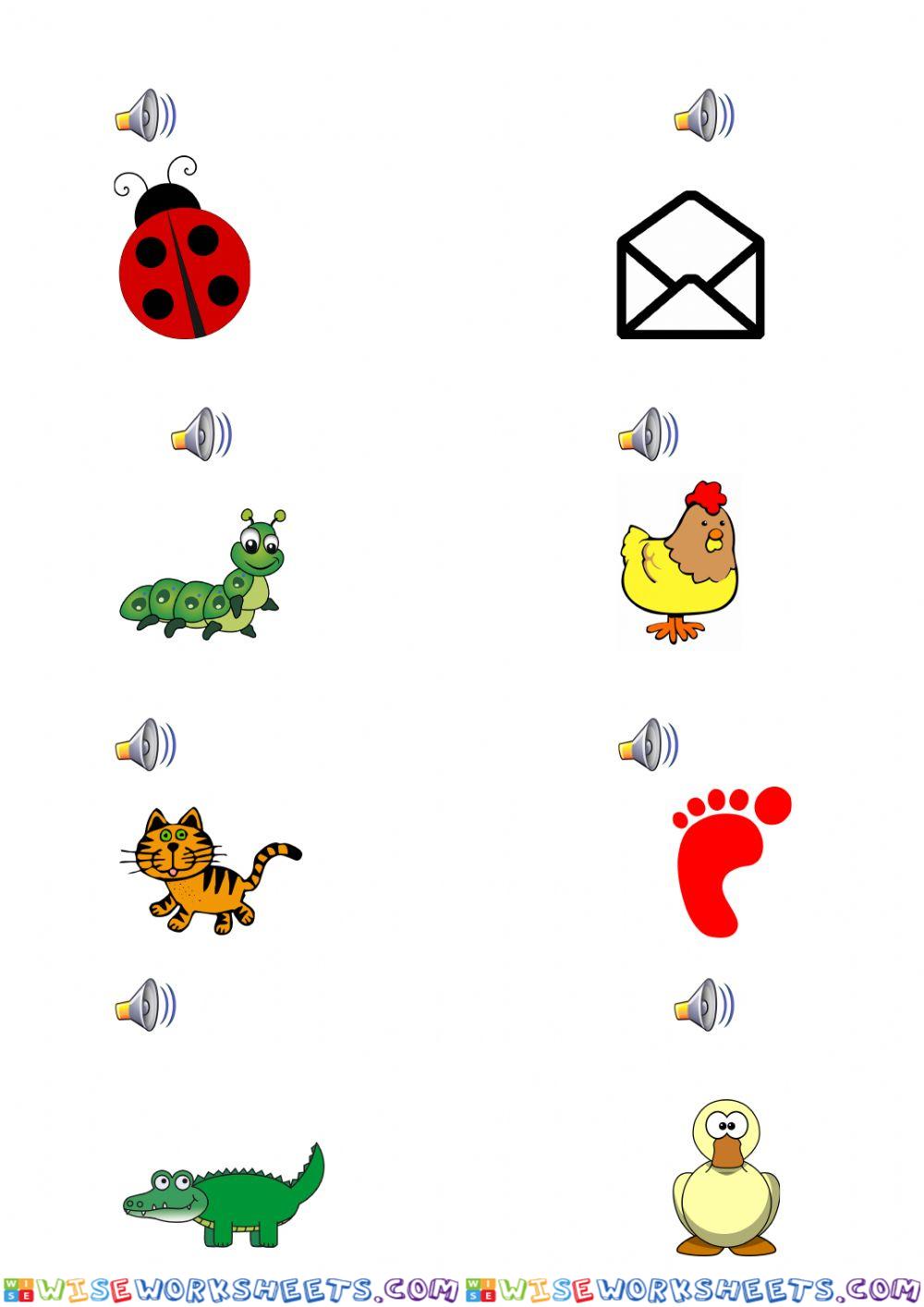 worksheet