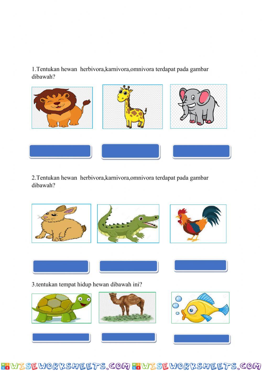 worksheet