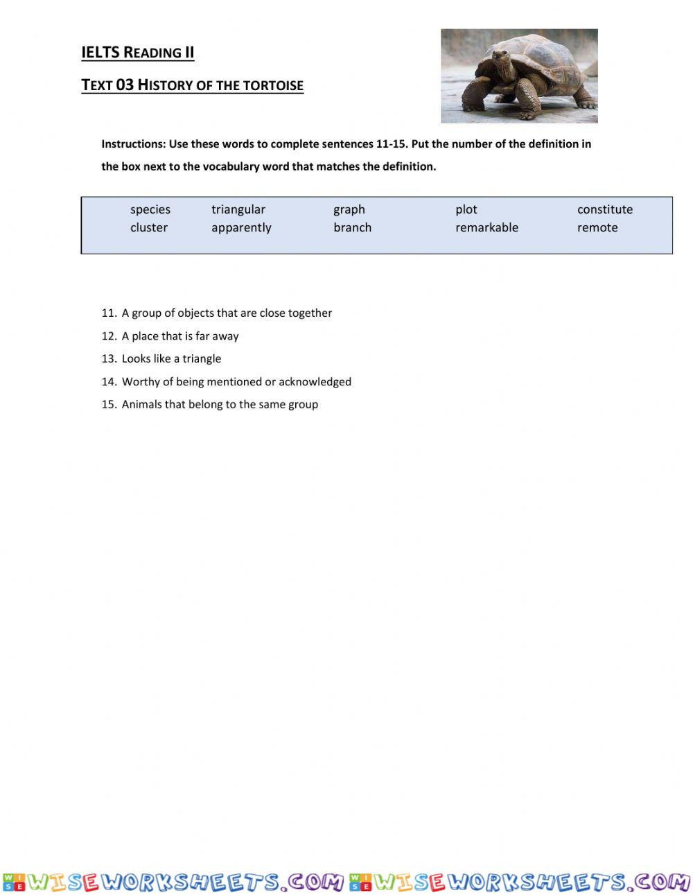 IELTS Vocabulary Practice History of the Tortoise