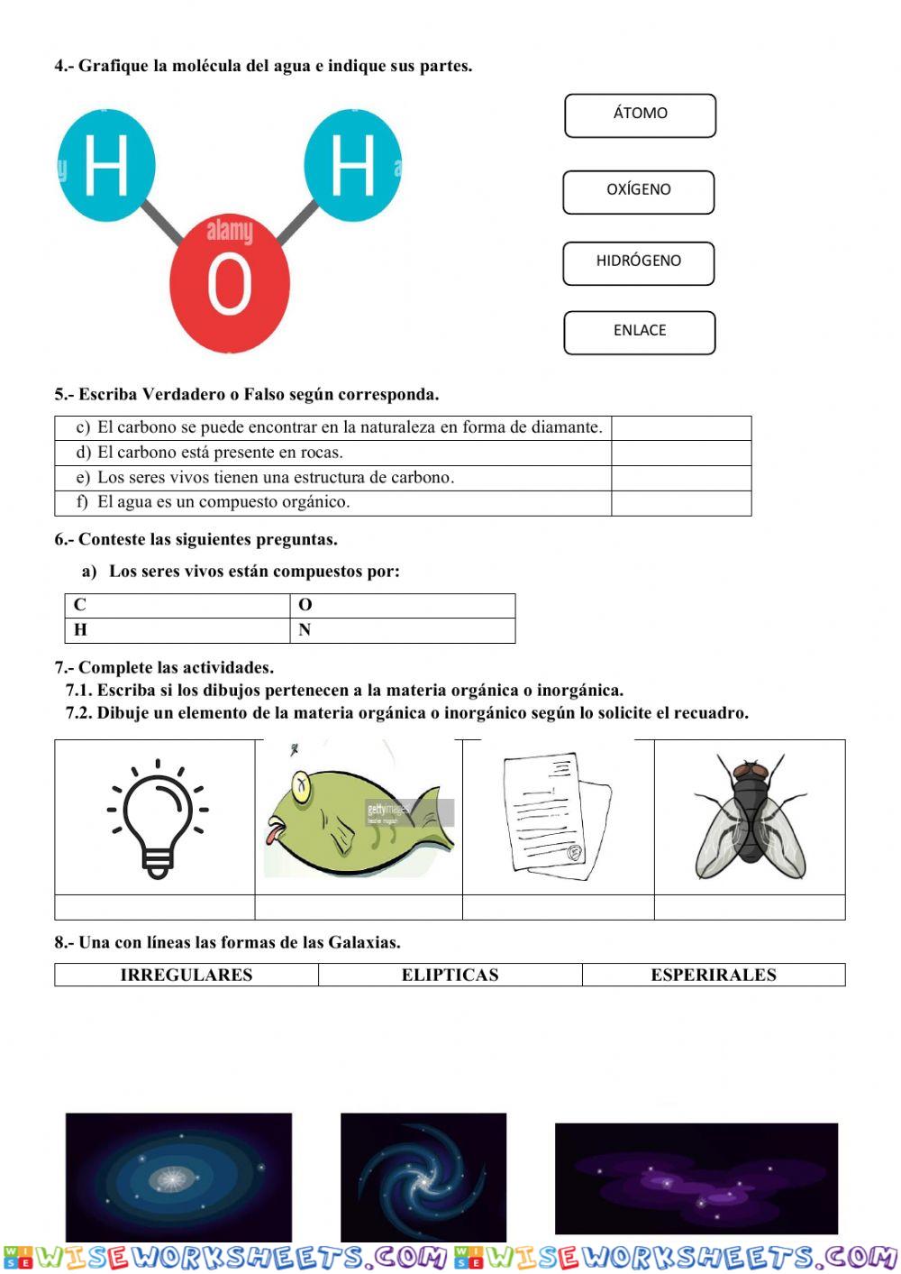 worksheet