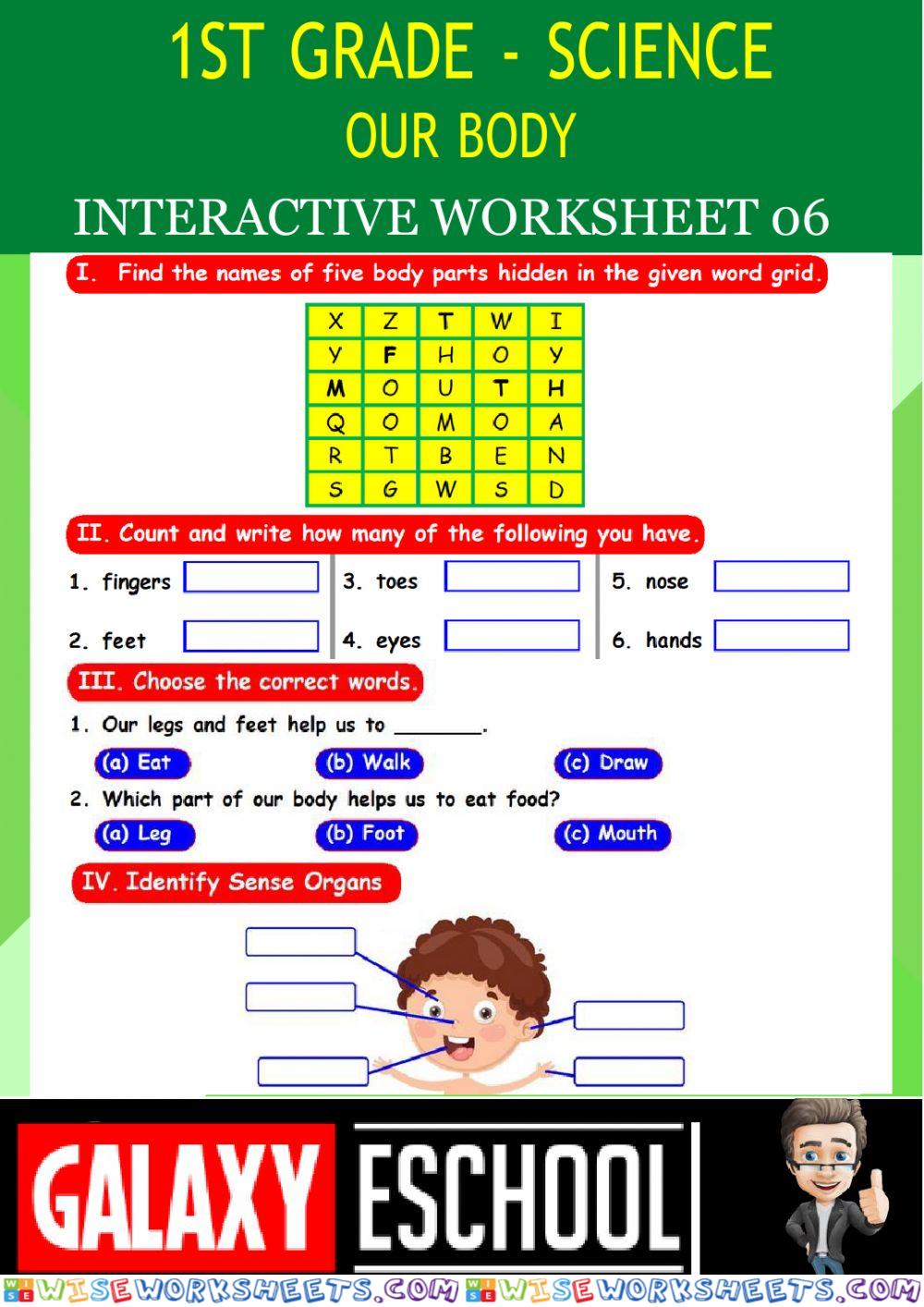 worksheet