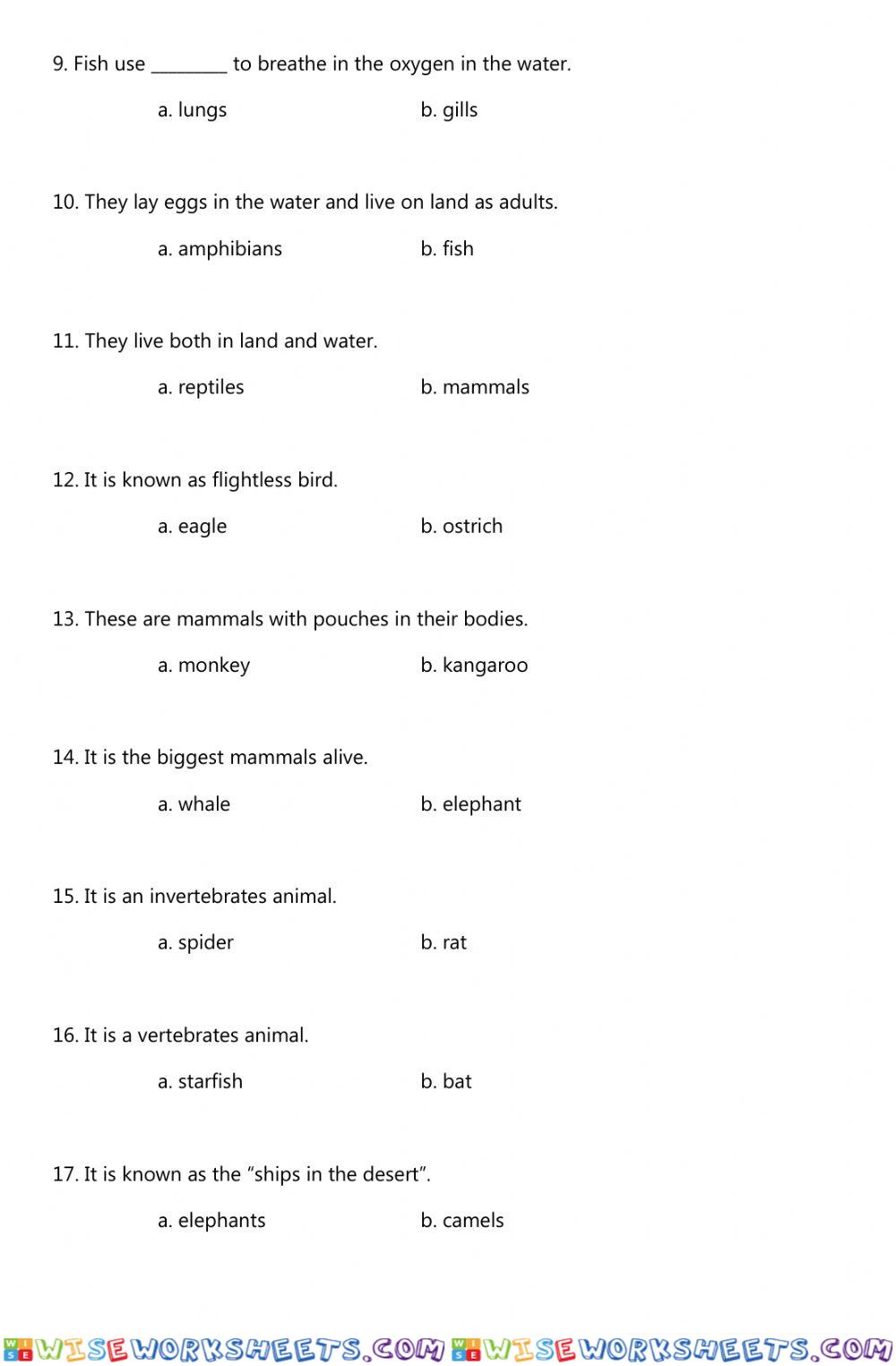 worksheet