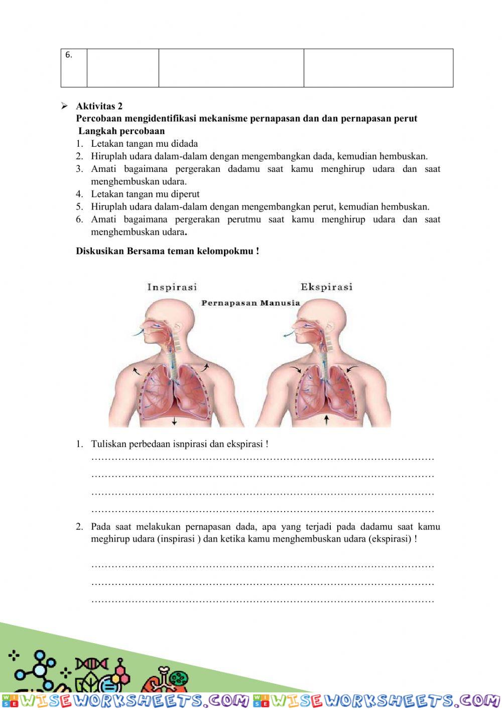 worksheet