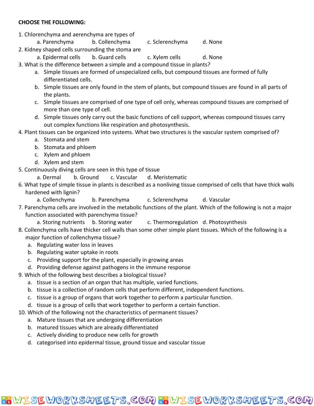 worksheet