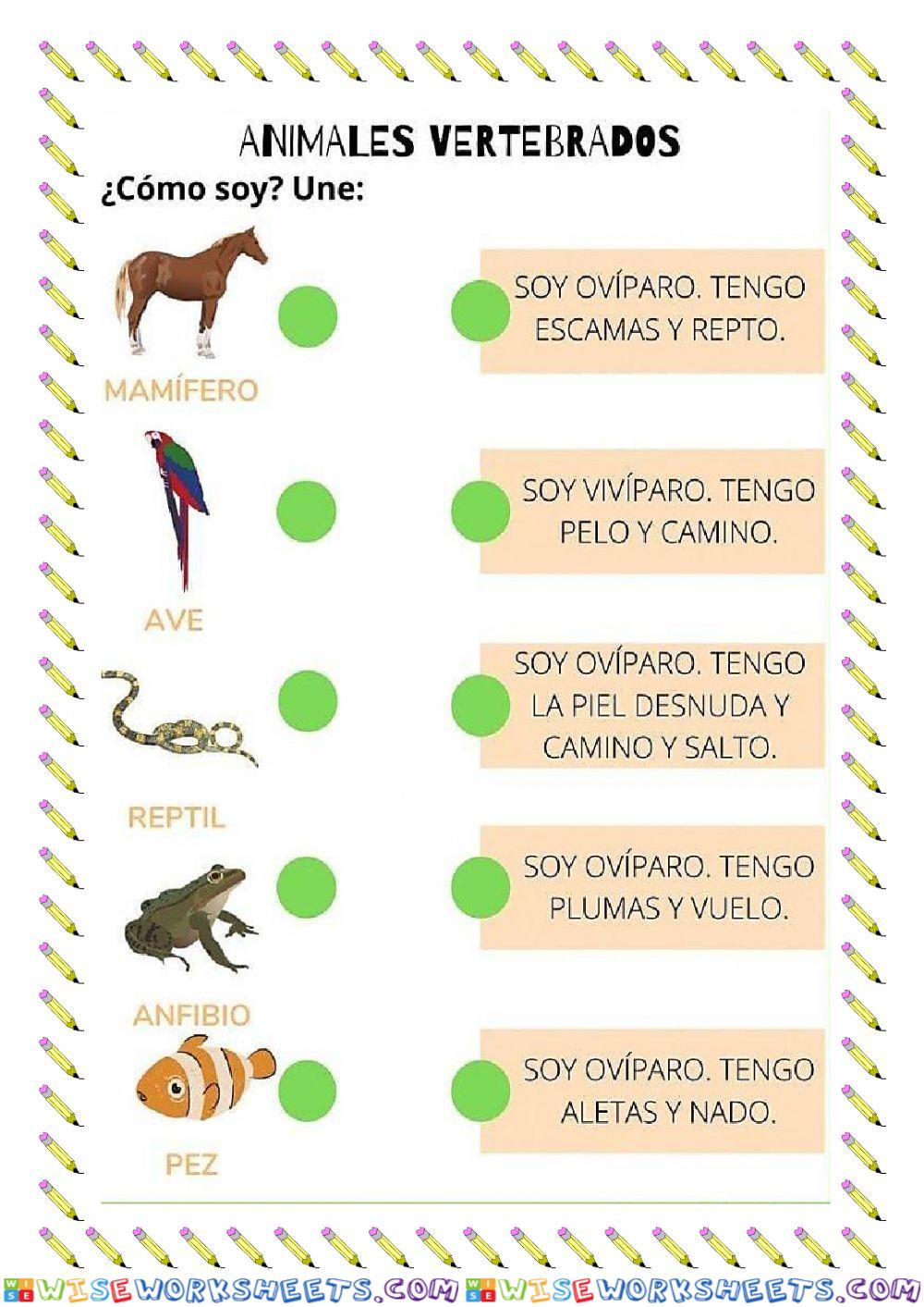 Animales vertebrados