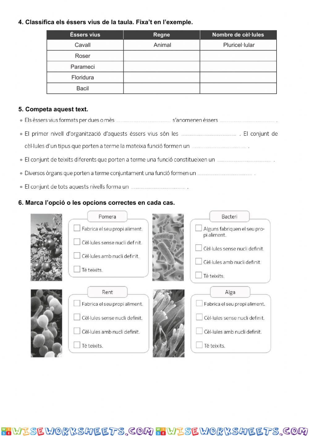 worksheet