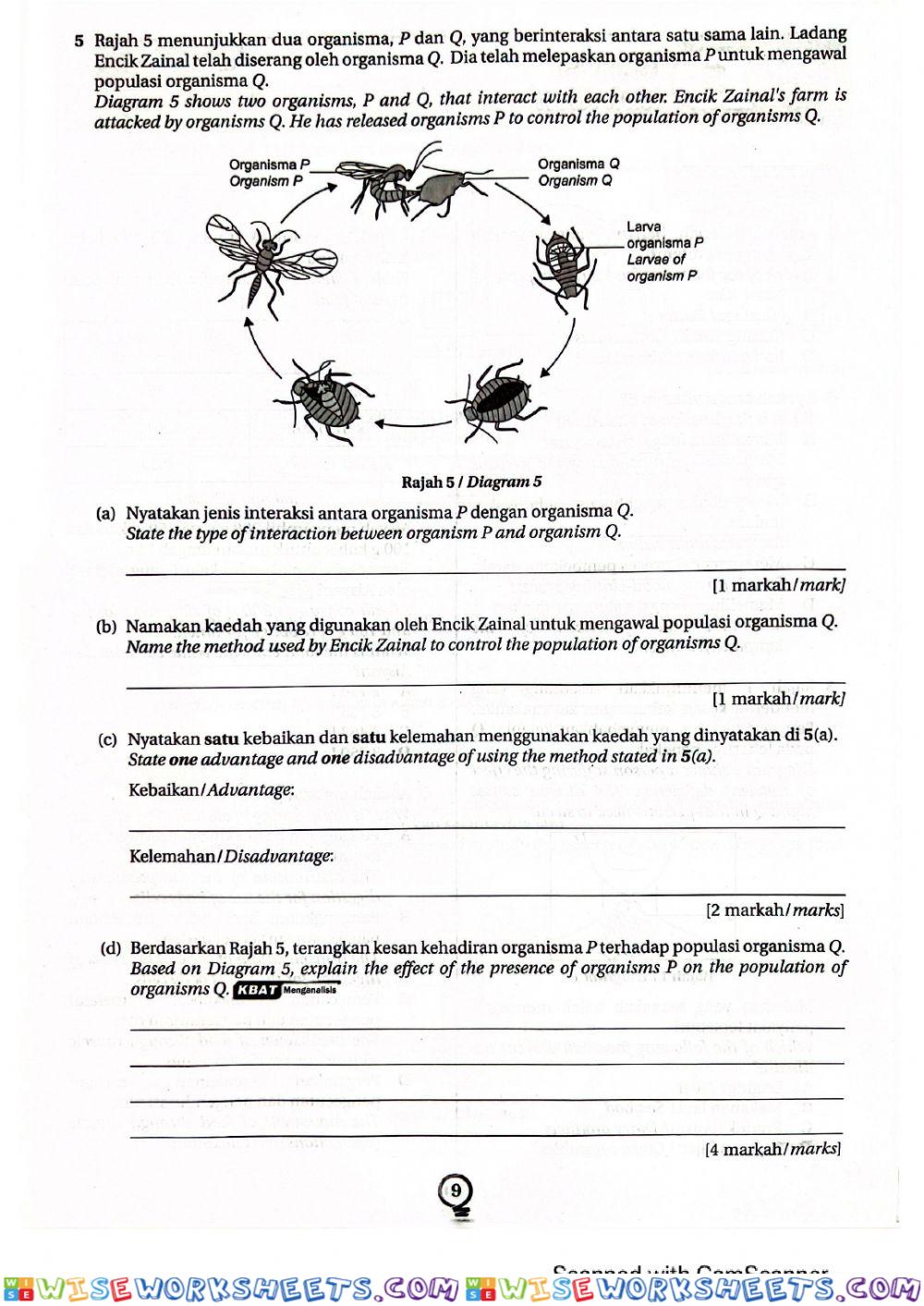 worksheet