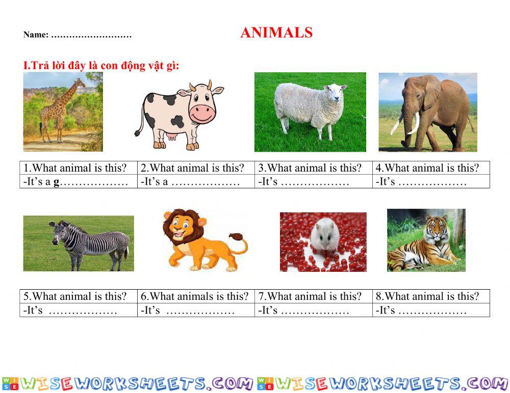 Animals .5