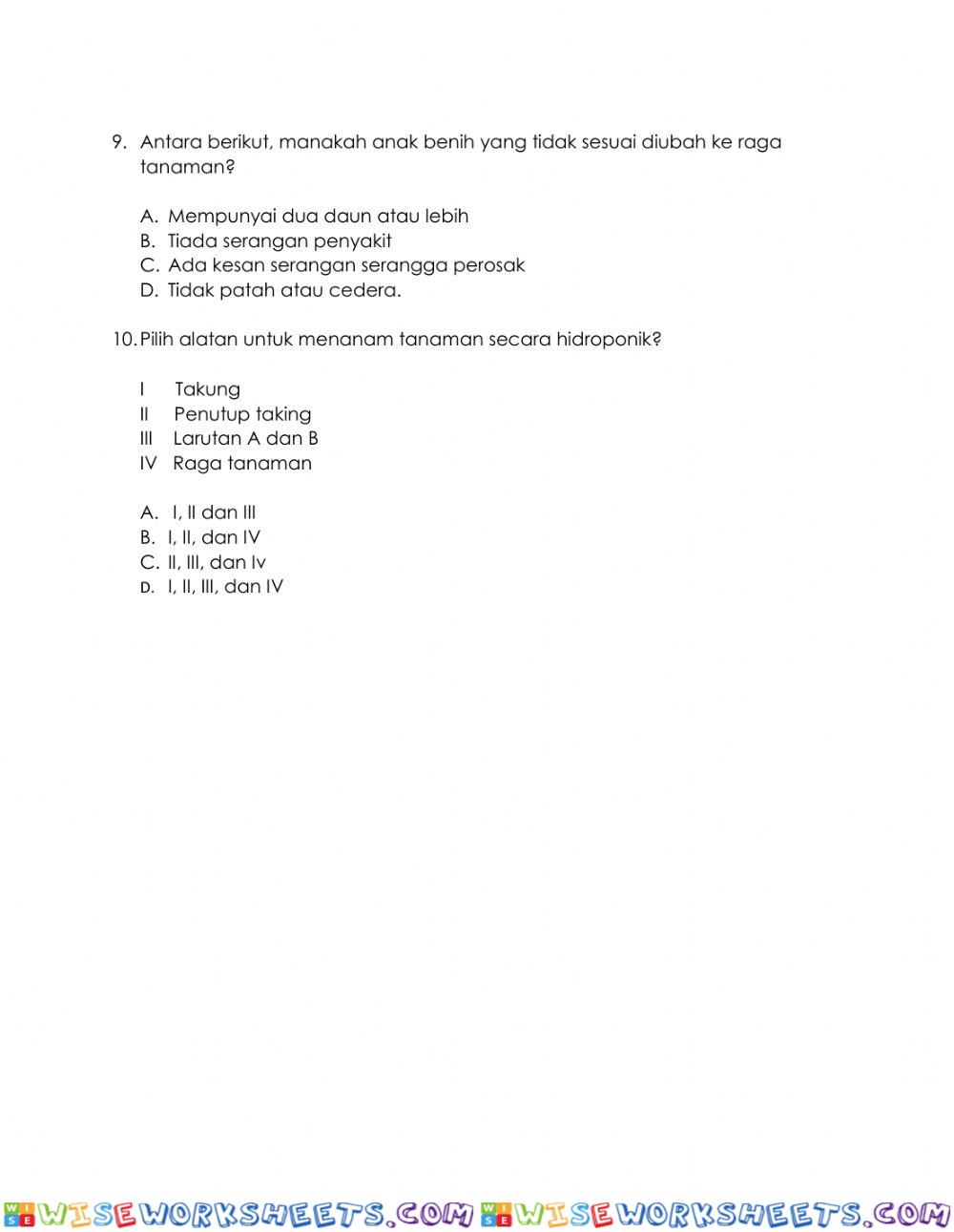 worksheet