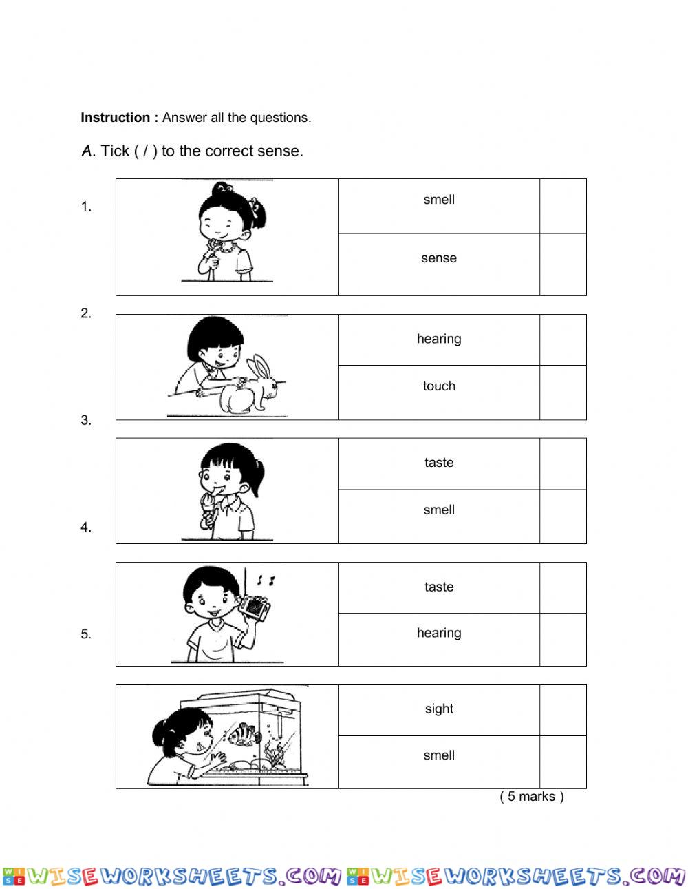 worksheet