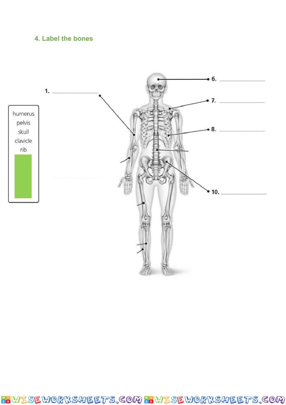 worksheet