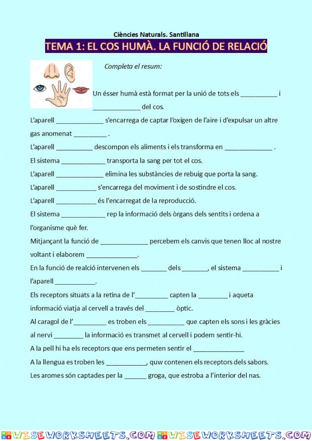 worksheet