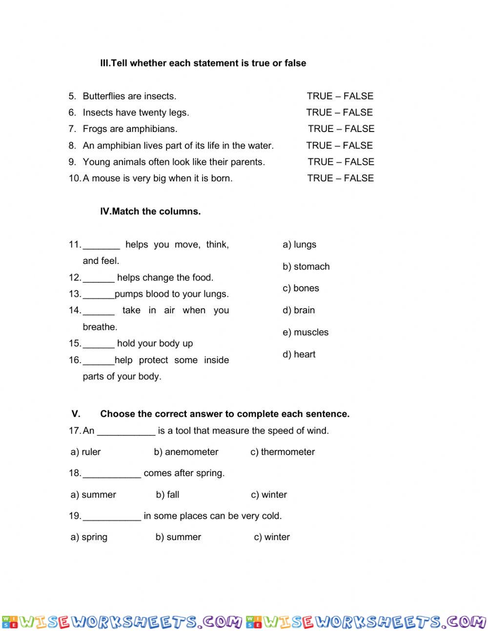 worksheet