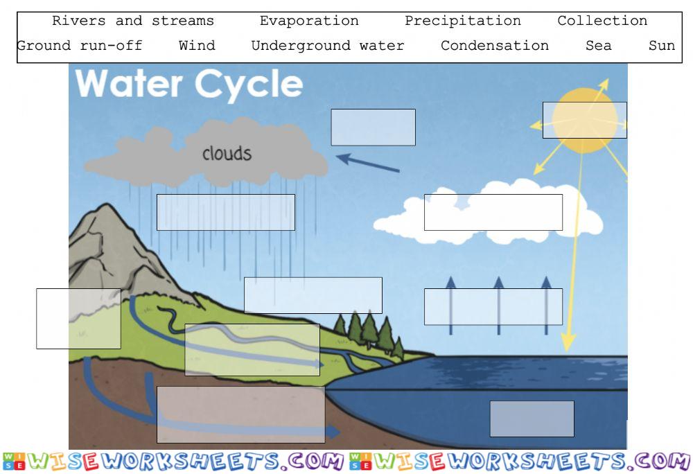 The water cycle