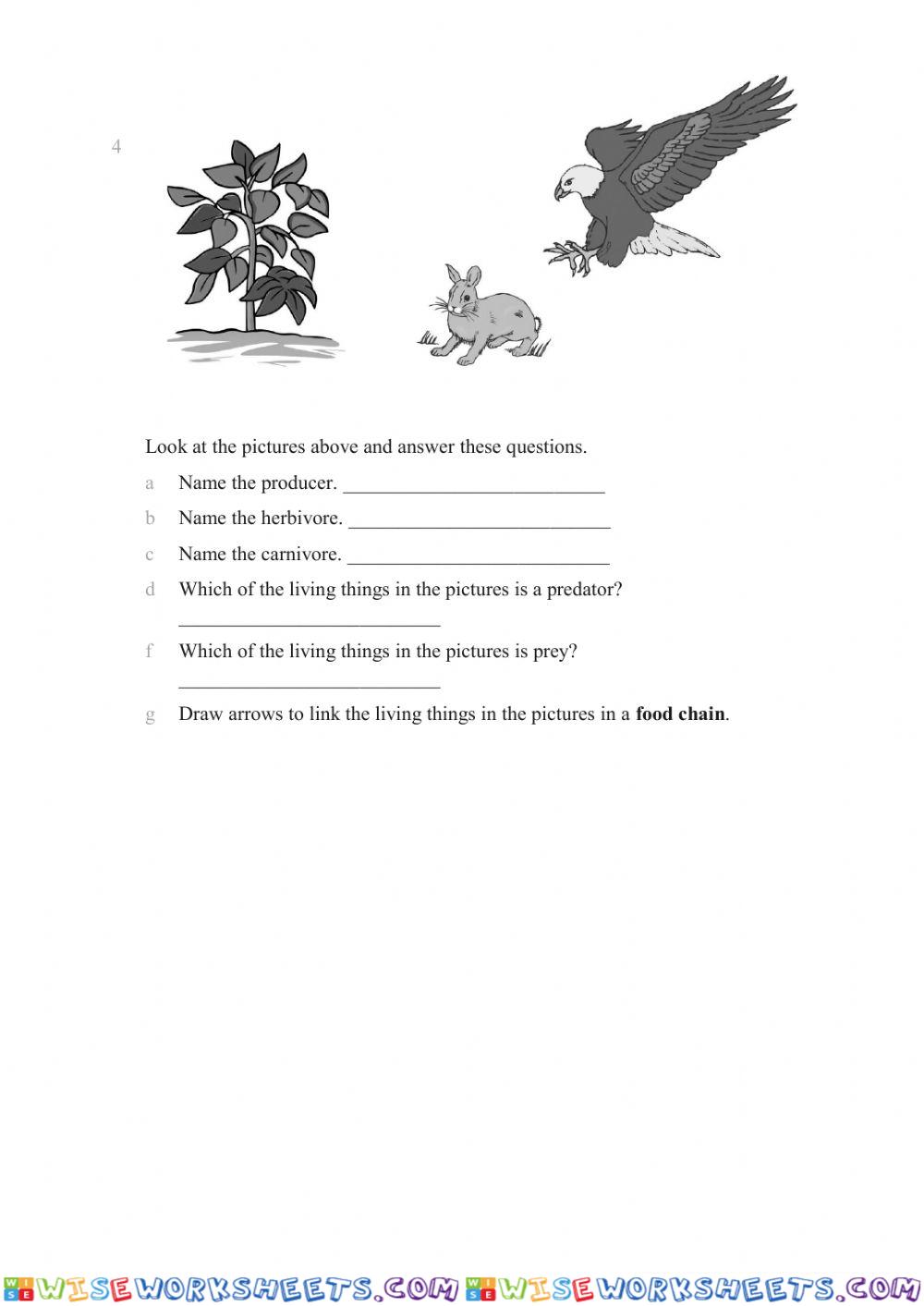 worksheet