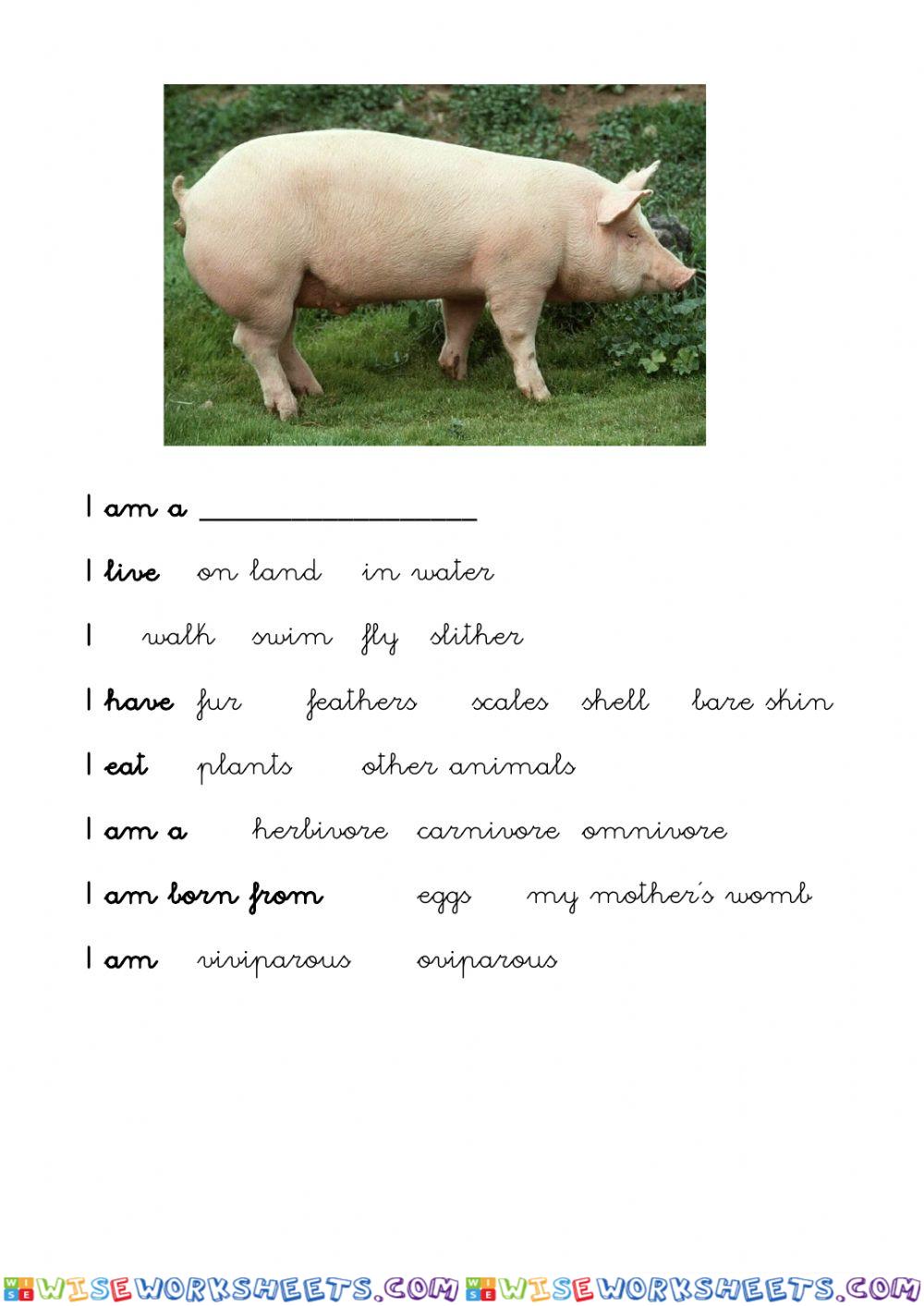 Pig's file