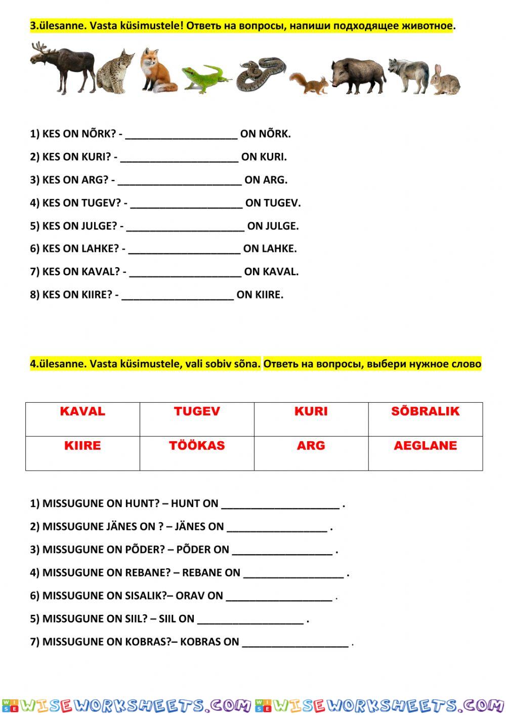 worksheet