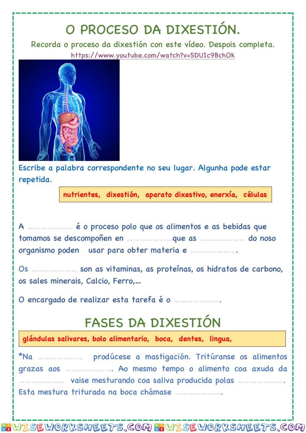 Proceso da dixestión