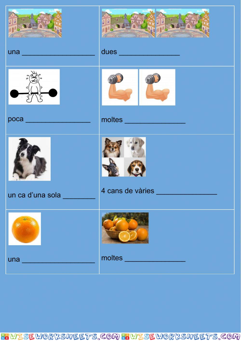 worksheet